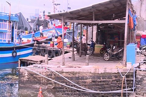 Thông tin từ đường dây nóng